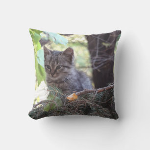 Coussin D'extérieur Cute Kitten Photo Cuisine Thon
