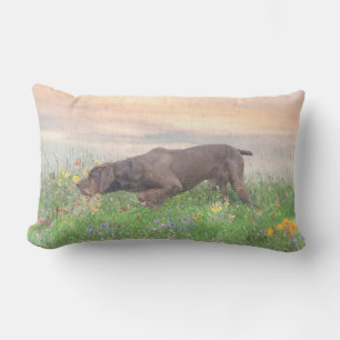 Coussin D'extérieur Deutsch Drahthaar