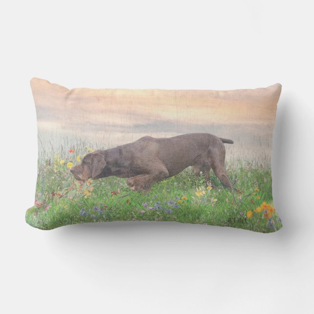 Coussin D'extérieur Deutsch Drahthaar   (Recto)