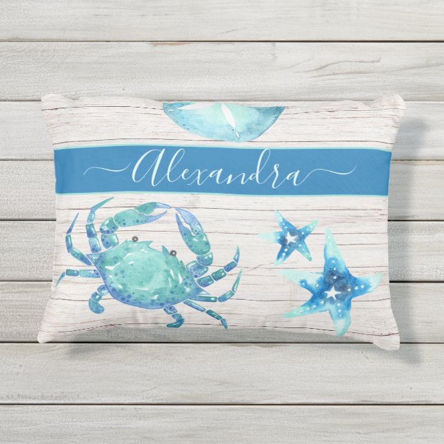 Coussin D'extérieur Dollar de sable blanc Turquoise nautique (Dos)