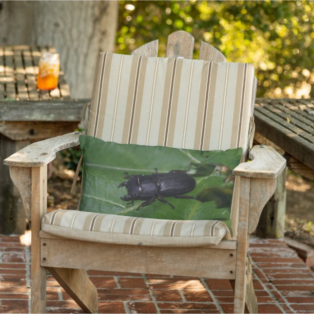 Coussin D'extérieur Dorcus parallelipipedus, le moindre dendroctone du (Chaise)