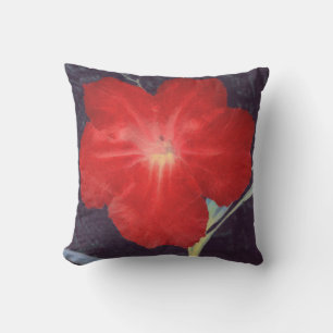 Coussin D'extérieur Face rouge rustique