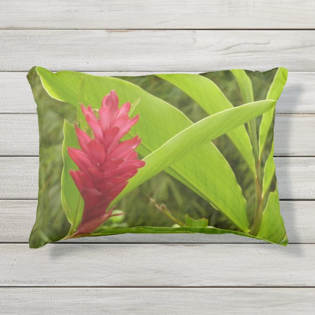Coussin D'extérieur Fleur de Gingembre Rouge (Alpinia) Tropicale (Devant)