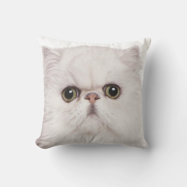 COUSSIN D'EXTÉRIEUR FOYER DE VISAGE DE CAT PERSAN (Recto)