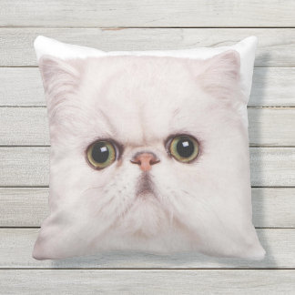 COUSSIN D'EXTÉRIEUR FOYER DE VISAGE DE CAT PERSAN