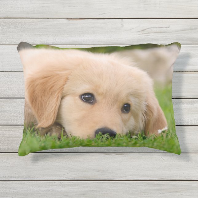 Coussin D'extérieur Golden Retriever mignon Chiot Dreams Chien Tête Ph (Devant)