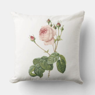 Coussin D'extérieur grand chou-leaved s'est levé par Redouté