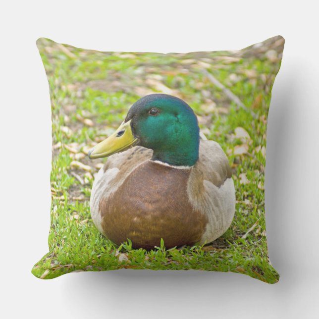 Coussin D'extérieur M. Mallard le Canard (Recto)