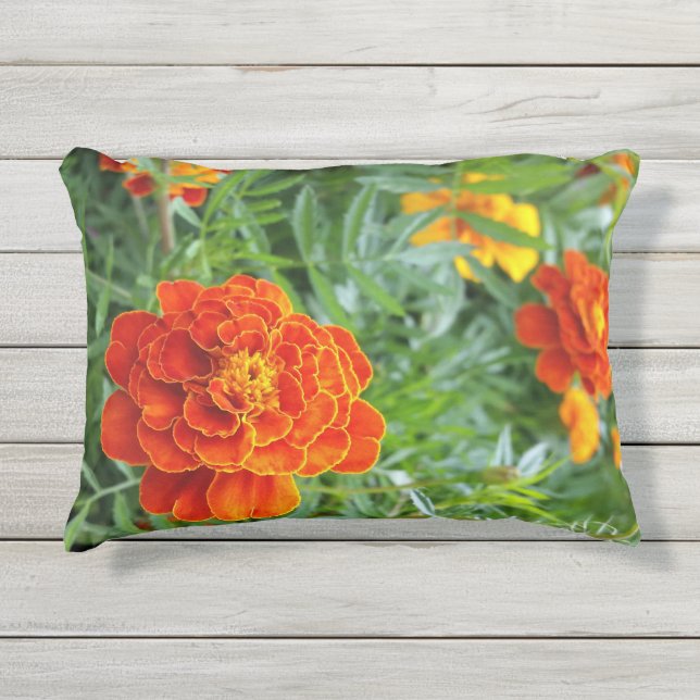 Coussin D'extérieur marigold aux couleurs vives (Devant)