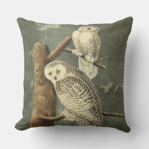 Coussin D'extérieur OEuvre d'OEuf Audubon
