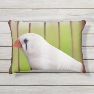 Coussin D'extérieur Oiseau blanc Zèbre Finch en cage