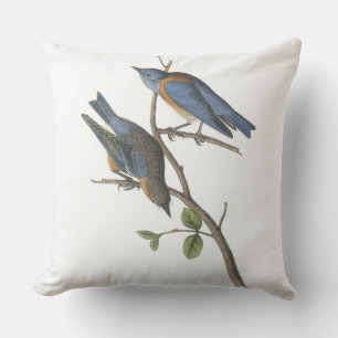 Coussin D'extérieur Oiseau bleu occidental par Audubon