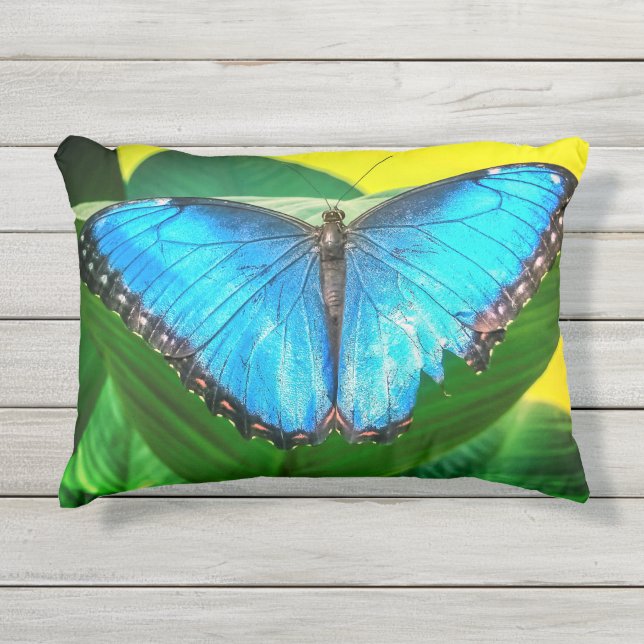 Coussin D'extérieur Papillon bleu Morpho Floral Nature Art (Devant)