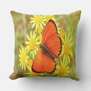 Coussin D'extérieur Papillon orange clair Fleurs jaunes