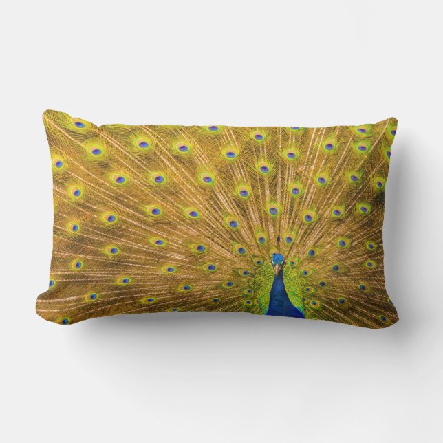 Coussin D'extérieur Peacock, Silver Falls, Kauai, Hawaii (Recto)