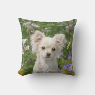 Coussin D'extérieur Photo crème mignonne de chiot de chien de chiwawa