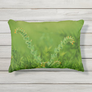 Coussin D'extérieur Photographie du Plante sauvage vert
