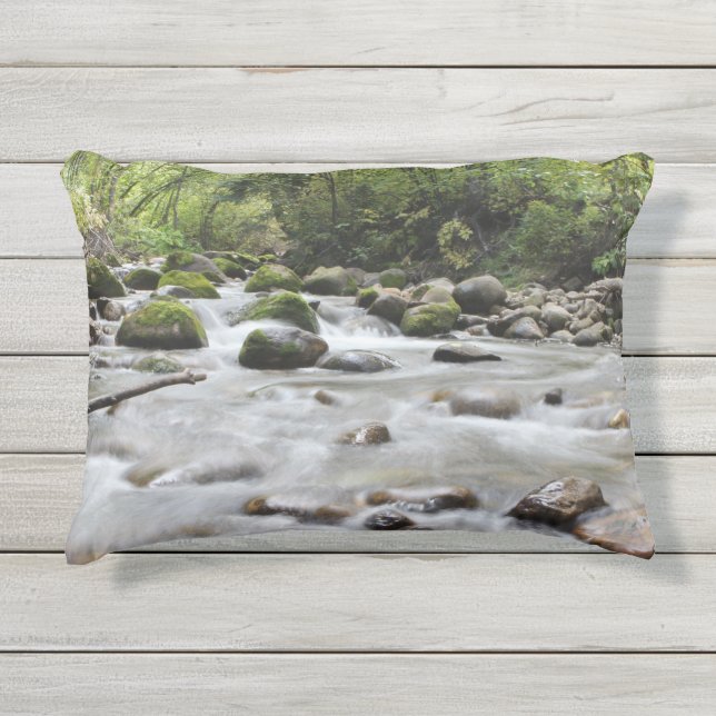 Coussin D'extérieur Pilotes de lancement de flux de forêt (Devant)