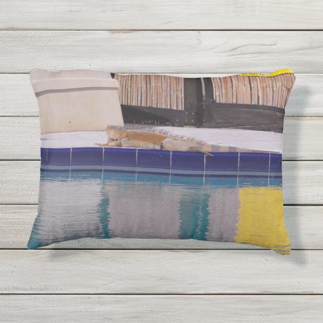 Coussin D'extérieur Piscine de l'Iguana (Dos)