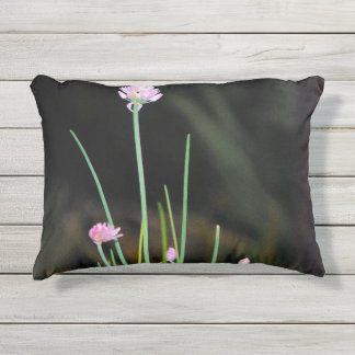 Coussin D'extérieur Poussins