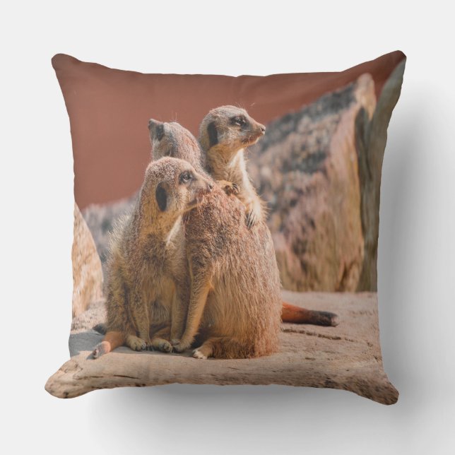 Coussin D'extérieur Qu'est-ce que Meerkats (Recto)