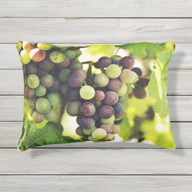 Coussin D'extérieur Raisins merveilleux de vigne, automne Sun (Devant)