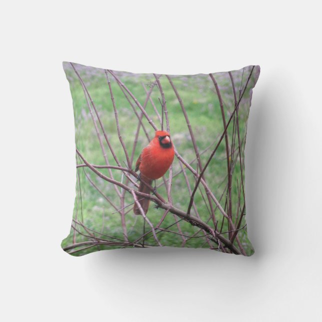 Coussin D'extérieur Red Cardinal Bird (Recto)