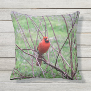 Coussin D'extérieur Red Cardinal Bird