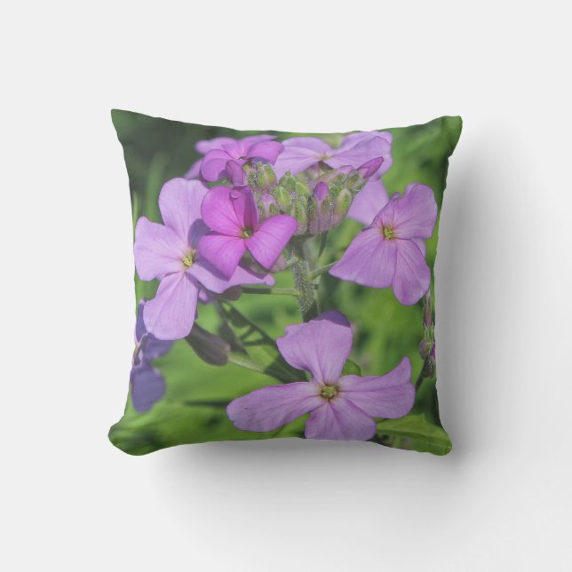 Coussin D'extérieur Rocket Spring 2016 de Lavendar de dame (Recto)