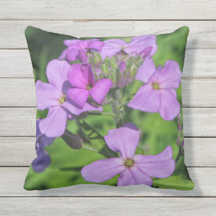 Coussin D'extérieur Rocket Spring 2016 de Lavendar de dame