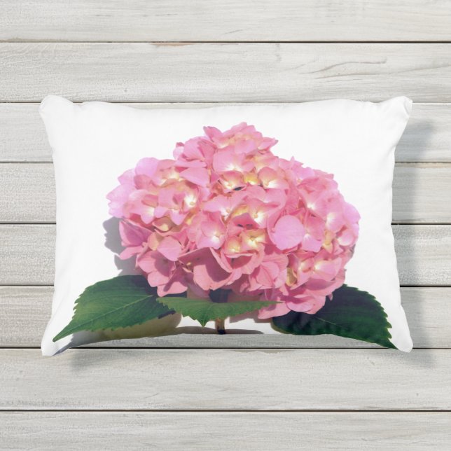 Coussin D'extérieur Rose doux Hydrangea rose fleur rose rose (Devant)
