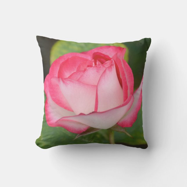 Coussin D'extérieur Rose rose et blanc simple (Recto)