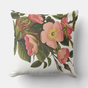 Coussin D'extérieur Roses Anciennes Jolies Roses Botaniques Roses
