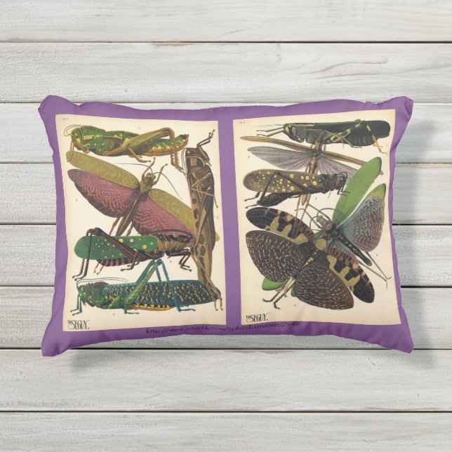 Coussin D'extérieur "SE Seguy-Insect Mode" (Devant)