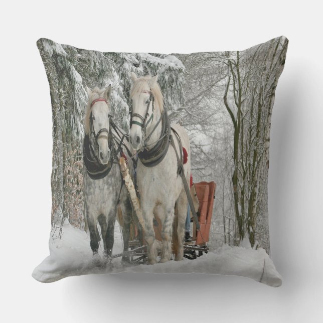Coussin D'extérieur Sleigh Ride (Recto)