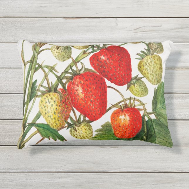 Coussin D'extérieur Succursale vintage de fraises (Devant)