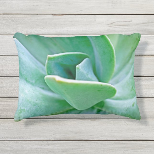 Coussin D'extérieur Swirl Succulent (Devant)