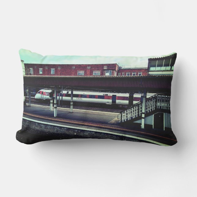 Coussin D'extérieur Train rouge et blanc (Recto)