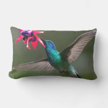 Un colibri à gorge violette inférieur