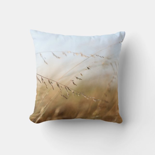 Coussin d'herbe et de ciel (Recto)