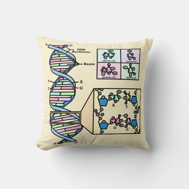Coussin Diagramme d'ADN (Recto)