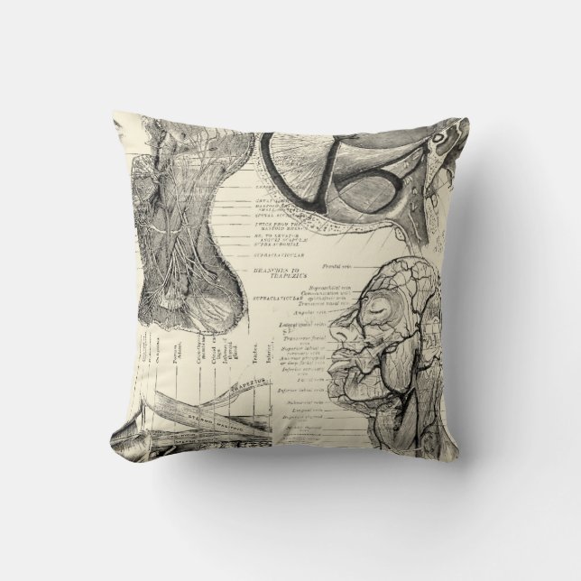 Coussin d'illustration anatomie (Recto)