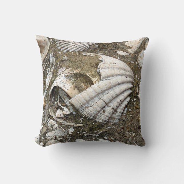 Coussin d'images fossiles réelles (Recto)