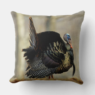 Coussin Dinde mâle, Illinois