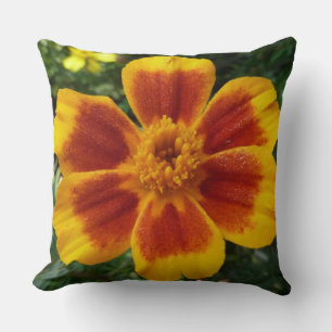 Coussin Disco Marigold Orange et Rouge Fleur d'été