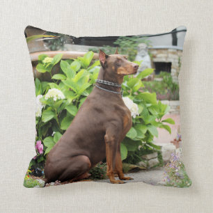Coussin Dobermann - rouge - rocheux - jardin d'église de