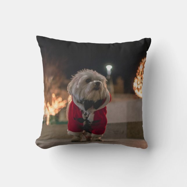 Coussin Dog à Santa costume (Recto)