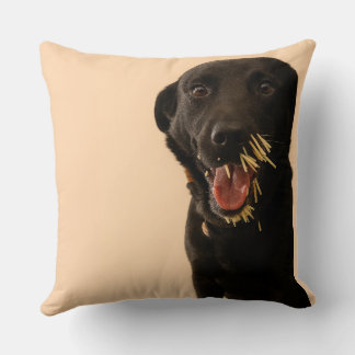 Coussin Dog vs. Porcupine Pillow