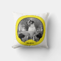 Doggenkissen extra