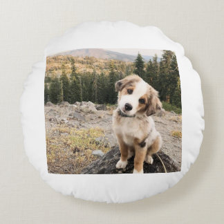 Coussin dogii mignon